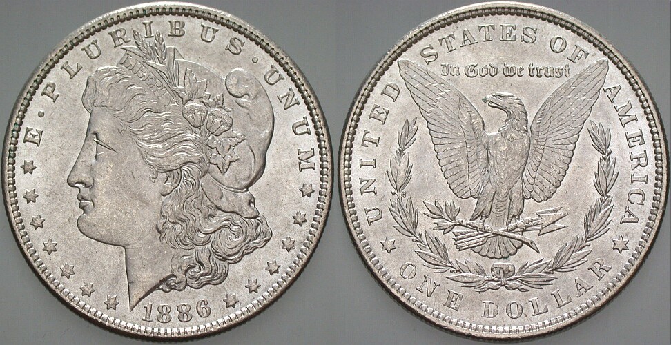 1 Dollar 1886 KM 110 Vorzüglich - Stempelglanz