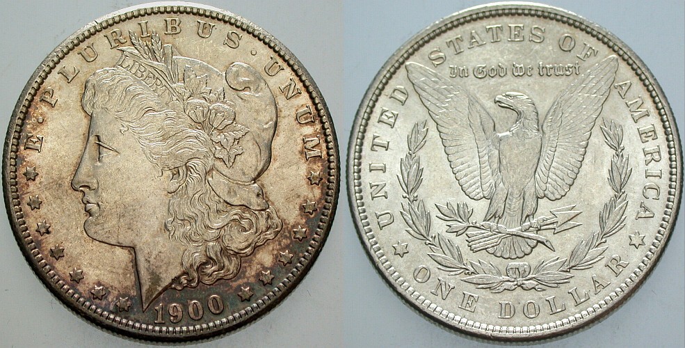 1 Dollar 1900 KM 110 Patina, vorzüglich - Stempelglanz
