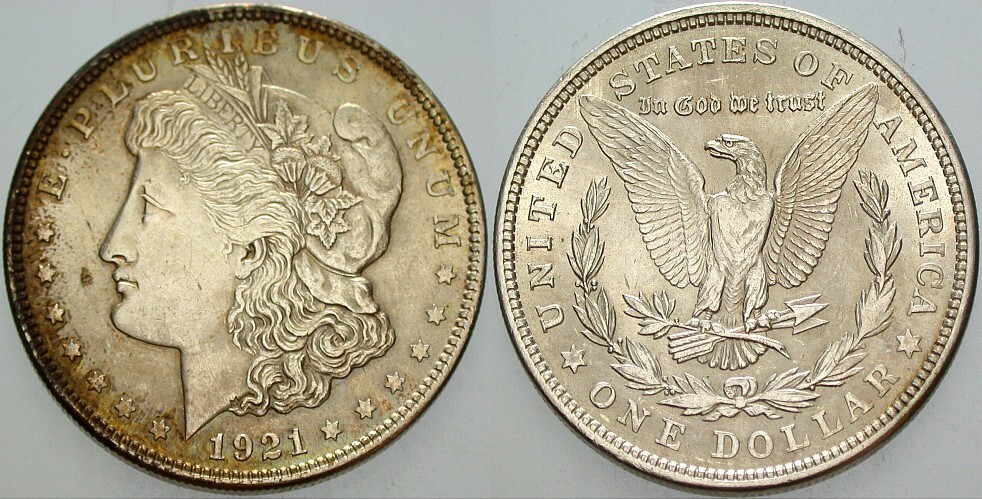 1 Dollar 1921 KM 110 Patina, sehr schön - vorzüglich