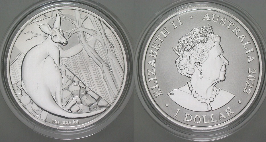 1 Dollar 2022 Stempelglanz (FROSTED)